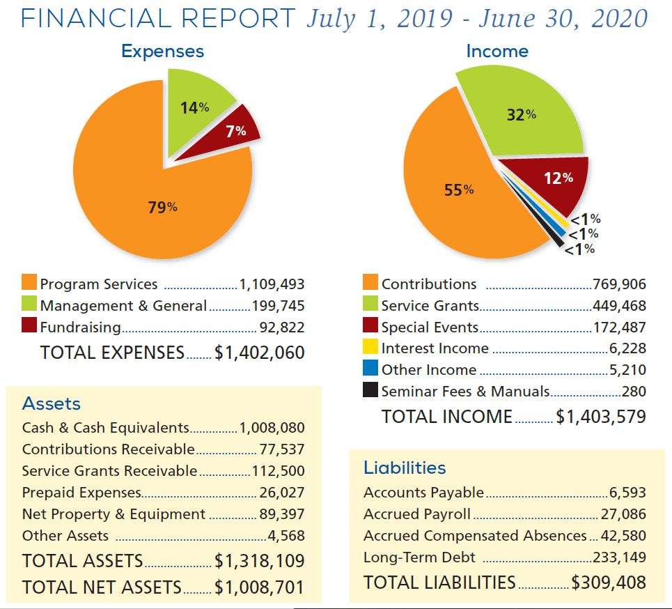 graphs and lists showing VLN's financial statistics for fiscal year 2020
